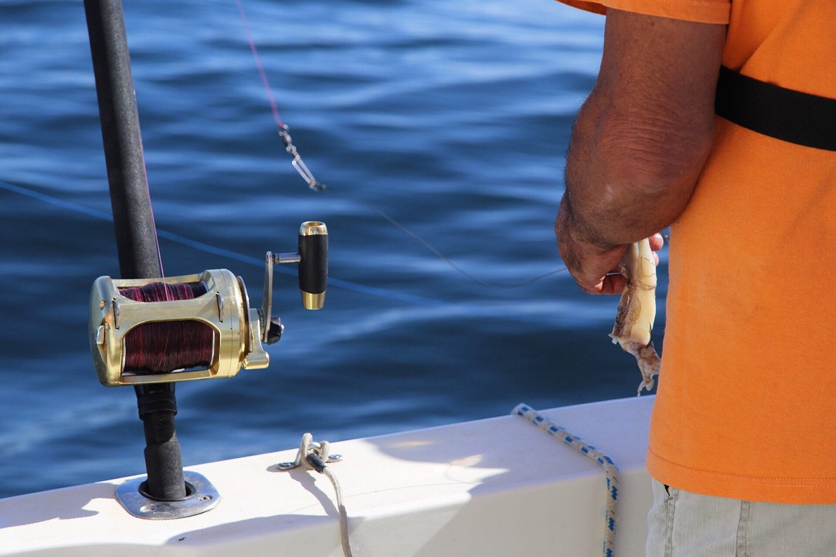 Pesca Grossa no Algarve